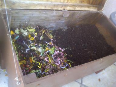 Compost-1