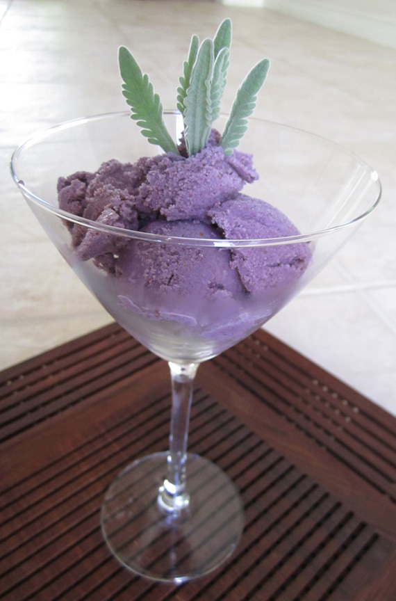 Blackberry-Lavender-IceCream-1