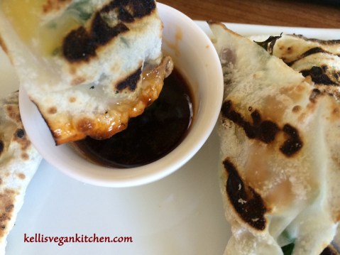 Grilled-Dumplings-closeup
