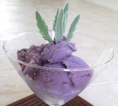 blackberry-lavender-icecream
